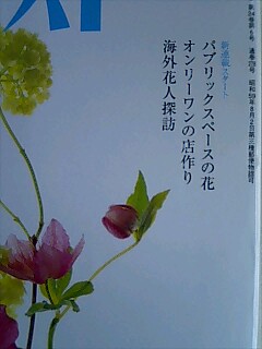 新連載スタート