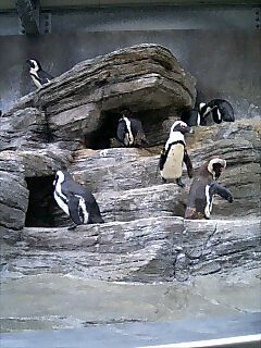 水族館でもお勉強!?