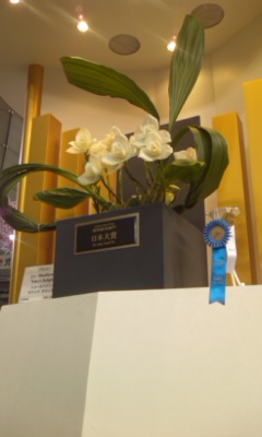 世界らん展 日本大賞〜ビケンに登場